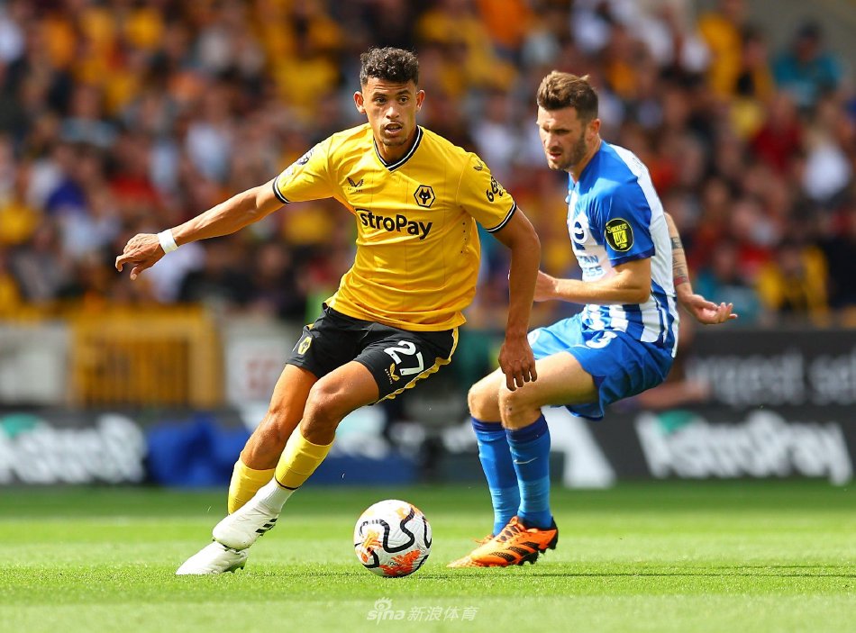 一个潜在转 一个潜在转